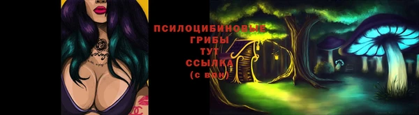 mdpv Богданович
